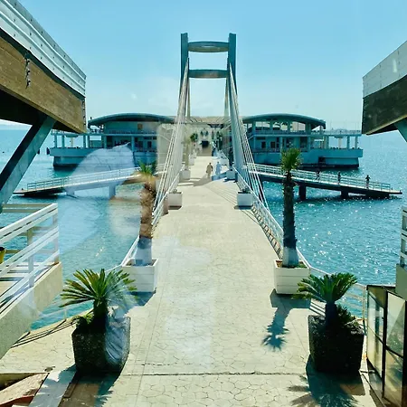 Ventus Harbor דורס